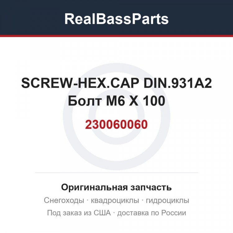 230060060 SCREW-HEX.CAP DIN.931A2  Болт M6 X 100