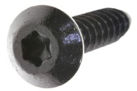250000626 винт PLASTITE TORX CONE HD. M6
