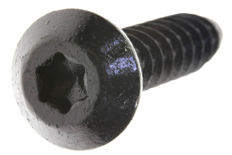 250000626 винт PLASTITE TORX CONE HD. M6