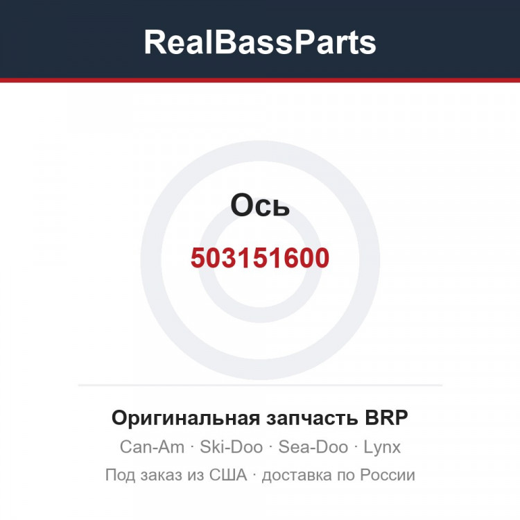 503151600 Ось