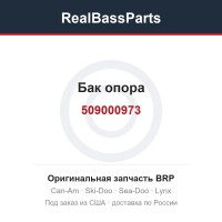 509000973 Бак опора