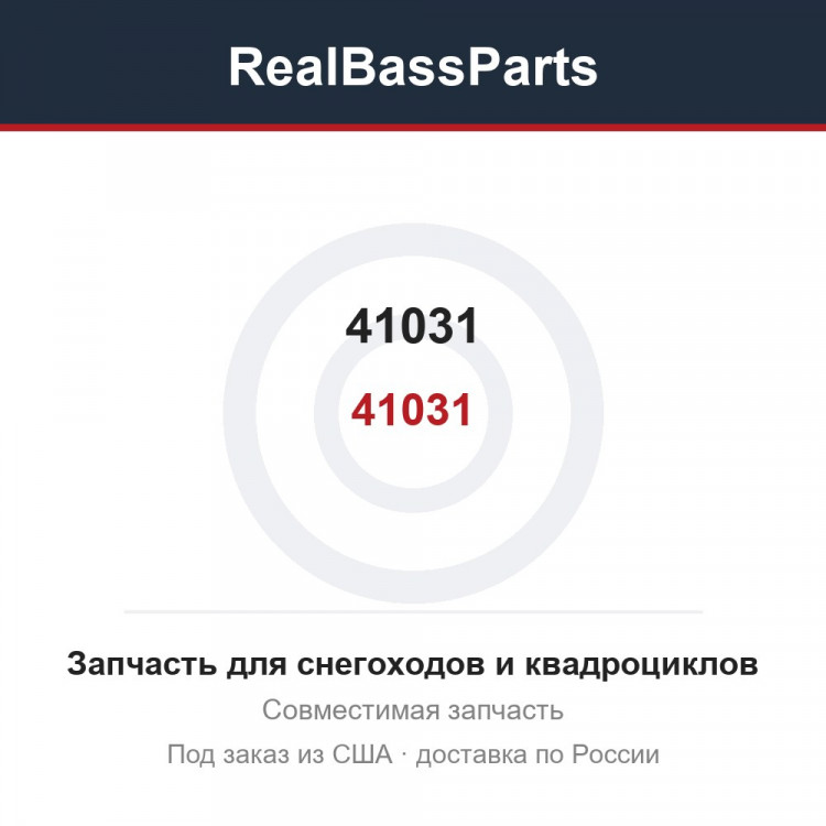 41031