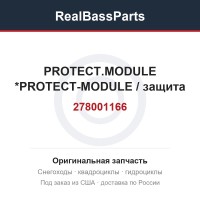 278001166 PROTECT.MODULE *PROTECT-MODULE / защита