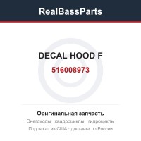 516008973 DECAL HOOD F