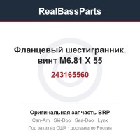 243165560 Фланцевый шестигранник. винт M6.81 X 55