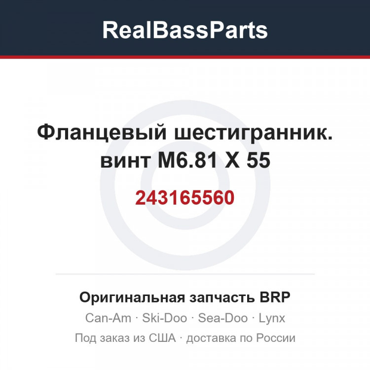243165560 Фланцевый шестигранник. винт M6.81 X 55