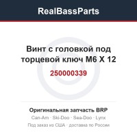 250000339 Винт с головкой под торцевой ключ M6 X 12