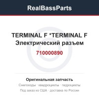 710000890 TERMINAL   F   *TERMINAL  F  Электрический разъем