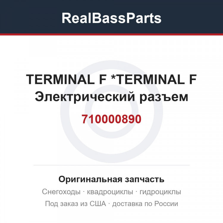 710000890 TERMINAL   F   *TERMINAL  F  Электрический разъем