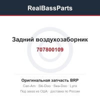 707800109 Задний воздухозаборник