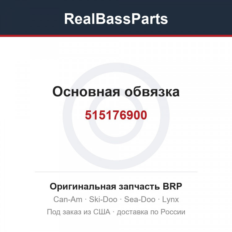 515176900 Основная обвязка