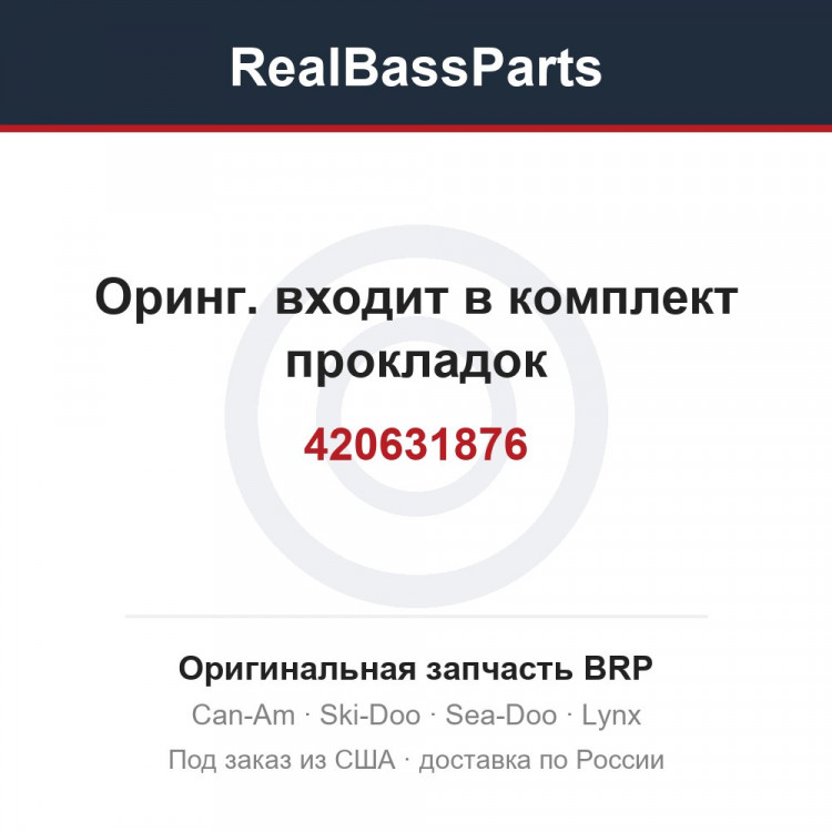 420631876 Оринг. входит в комплект прокладок