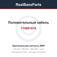 710001818 Положительный кабель