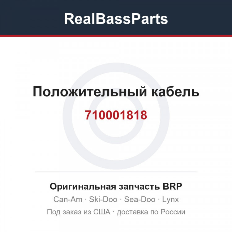 710001818 Положительный кабель