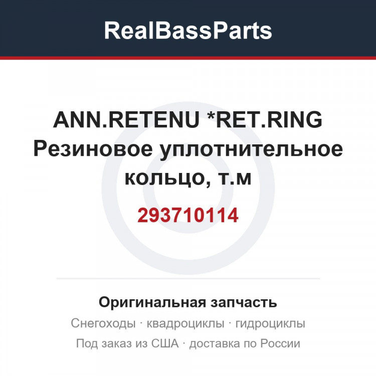 293710114 ANN.RETENU     *RET.RING  Резиновое уплотнительное кольцо, т.м