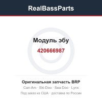 420666987 Модуль эбу