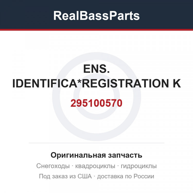 295100570 ENS. IDENTIFICA*REGISTRATION K