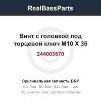 244003570 Винт с головкой под торцевой ключ M10 X 35