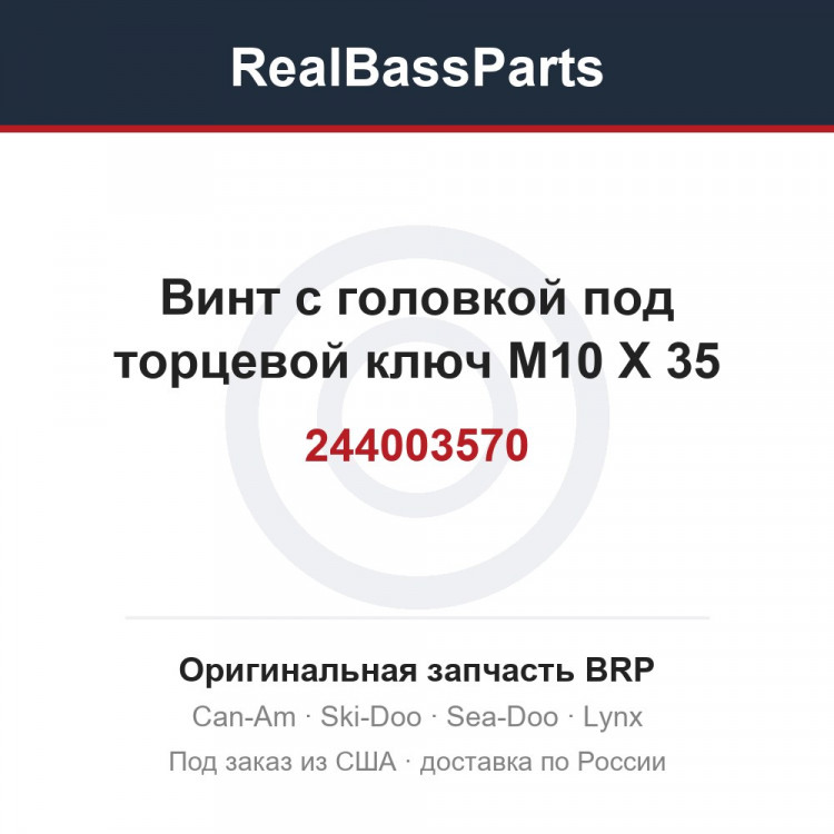 244003570 Винт с головкой под торцевой ключ M10 X 35