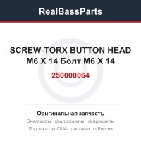 250000064 SCREW-TORX BUTTON HEAD M6 X 14  Болт M6 X 14