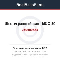 250000888 Шестигранный винт M8 X 30