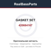 420684167 GASKET SET
