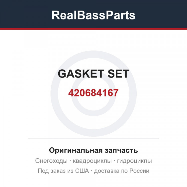 420684167 GASKET SET
