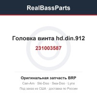 231003587 Головка винта hd.din.912