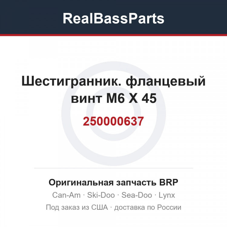 250000637 Шестигранник. фланцевый винт M6 X 45