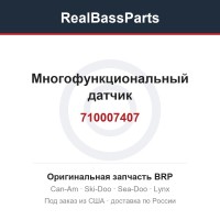710007407 Многофункциональный датчик