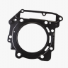 420650210 Прокладка головки цилиндра Can-Am
