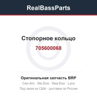 705600068 Стопорное кольцо