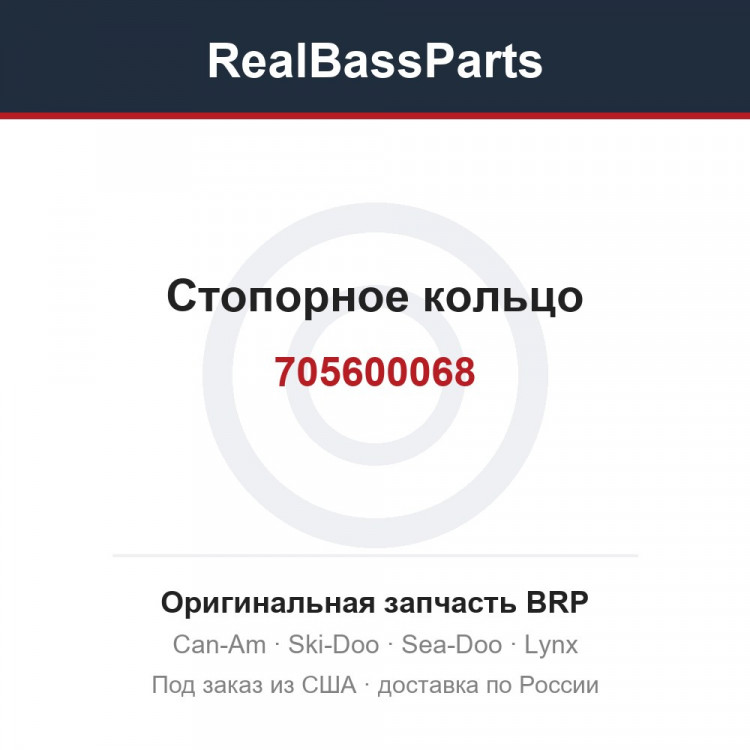 705600068 Стопорное кольцо
