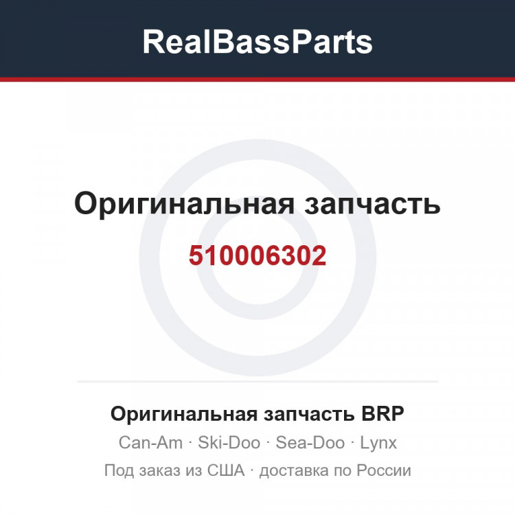 510006302