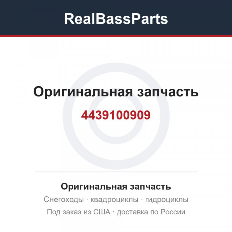 4439100909
