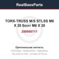 250000711 TORX-TRUSS M/S STLSS M6 X 20 Болт M6 X 20