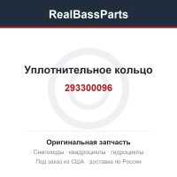 293300096 Уплотнительное кольцо