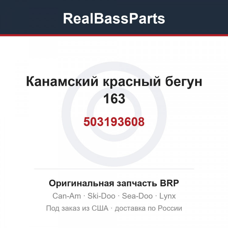 503193608 Канамский красный бегун 163