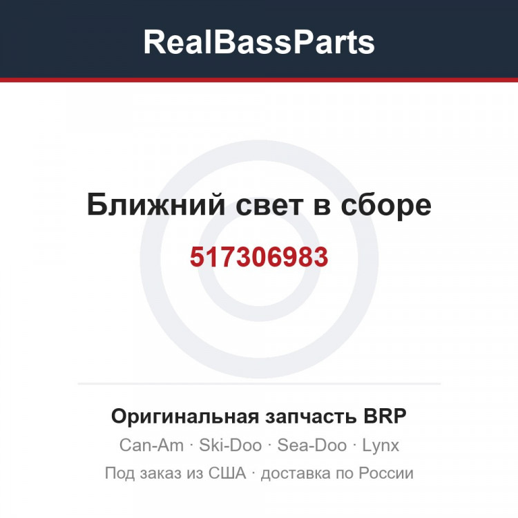 517306983 Ближний свет в сборе