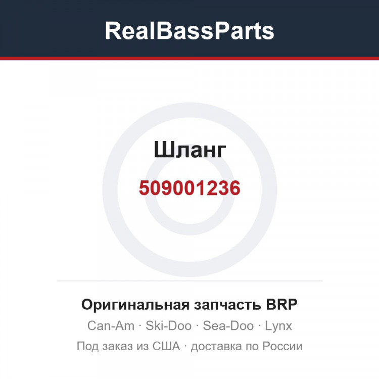 509001236 Шланг