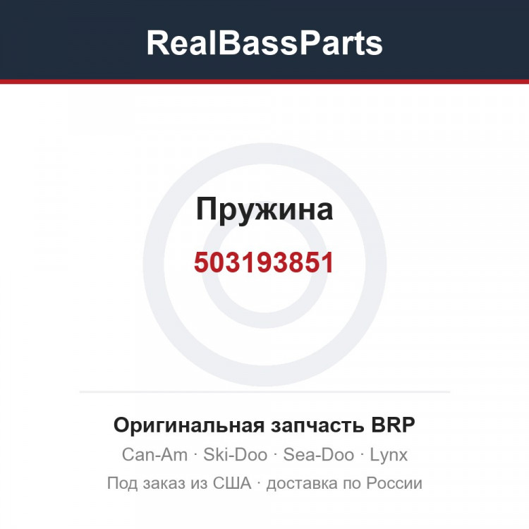 503193851 Пружина