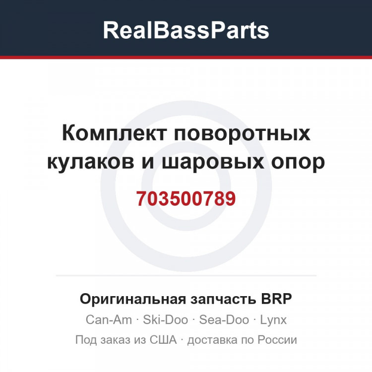 703500789 Комплект поворотных кулаков и шаровых опор
