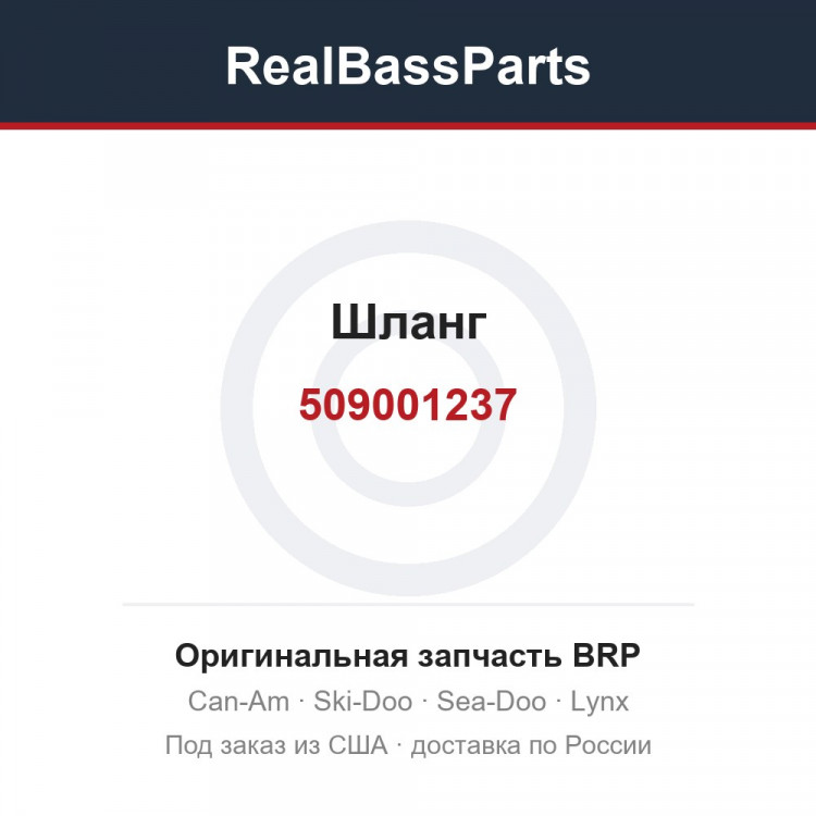 509001237 Шланг