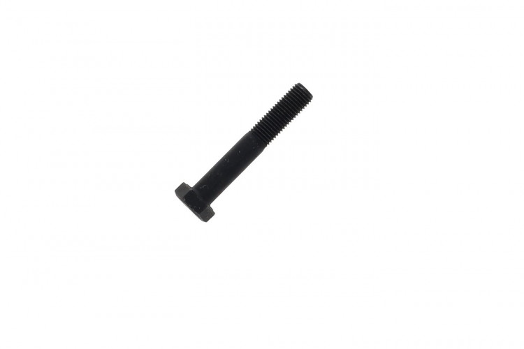 250000290 SCREW-HEX.CAP M10 X 60 ISO.8765
