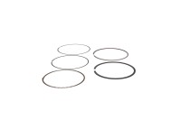 420686314 PISTON RING SET