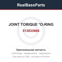 513033668 JOINT TORIQUE  *O-RING