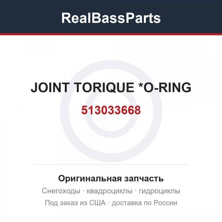 513033668 JOINT TORIQUE  *O-RING