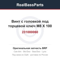 231080060 Винт с головкой под торцевой ключ M8 X 100