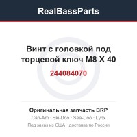 244084070 Винт с головкой под торцевой ключ M8 X 40