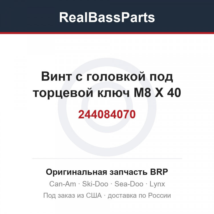 244084070 Винт с головкой под торцевой ключ M8 X 40